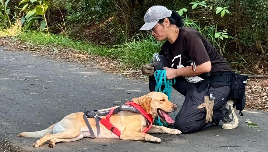 影/氣味會說話！警犬Uhoo勇奪德國BRH路徑追蹤高級認證