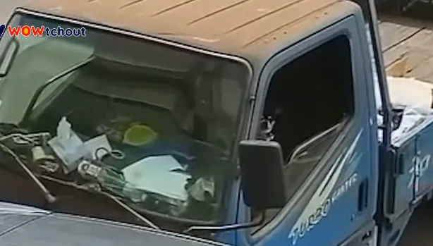 35秒畫面曝！小貨車離奇滑行撞車...駕駛竟然是「汪星人」