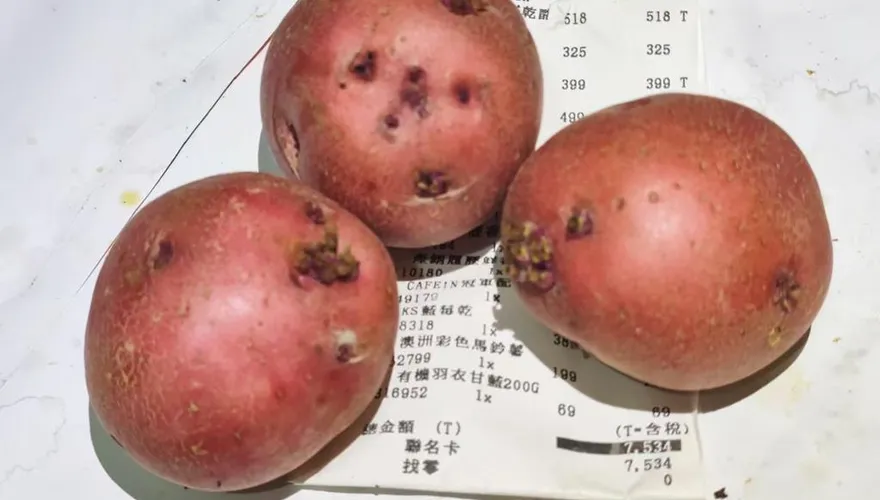 美式賣場馬鈴薯遭控發芽！業者：單一個案…全台門市照樣販售