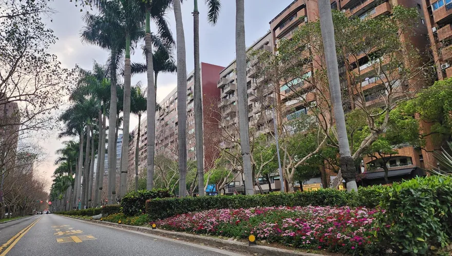 開車不煩悶！台北最美林蔭大道升級　仁愛路花景五彩繽紛