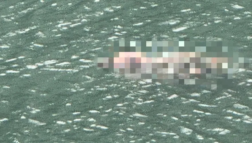 影/確定救不回！台北港護城河驚見裸男浮屍