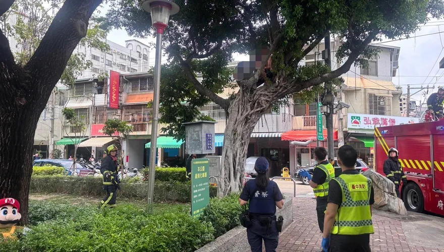 酒膽包天！台中2男嫌太熱爬2米高樹上喝酒　結果下不來