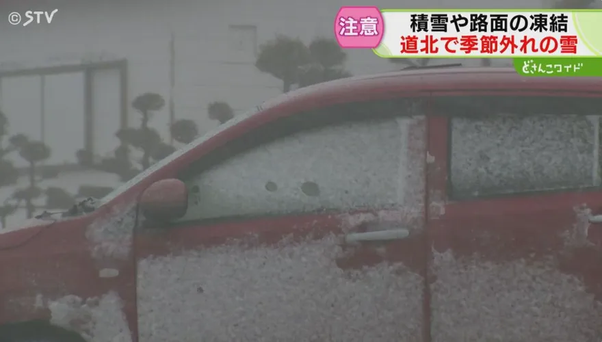 影/北海道罕見「5月雪」　旭川市區積雪逾2cm為21年來首見
