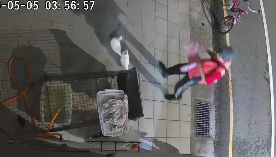 影/男偷2隻柯爾鴨還對監視器比YA　監視器畫面曝