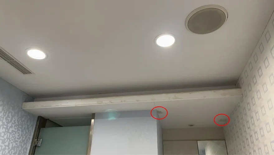 愛爾麗偷拍案別急著和解！　呂秋遠列「10點自救」建議