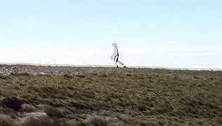 嘉明湖外星人照是國安機密？美認證無變造　警私傳遭記申誡