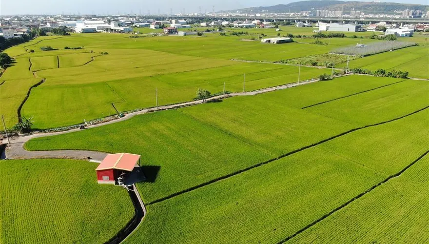 想當地主？彰化縣5/29農地標售　釋出20筆耕地