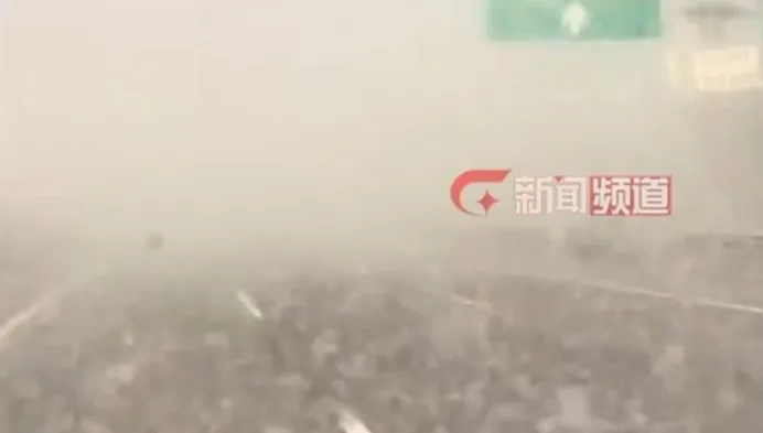 影/驚人！河北高速現「白色風暴」　楊絮大爆發能見度不足1米