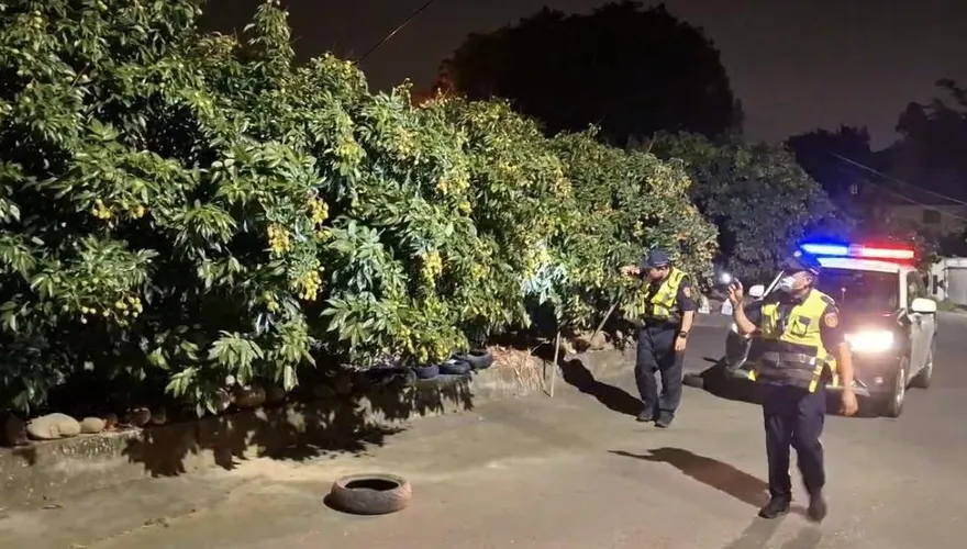 影/高雄玉荷包迎採收季！未成熟小偷頻光顧　警推「護荔專案」