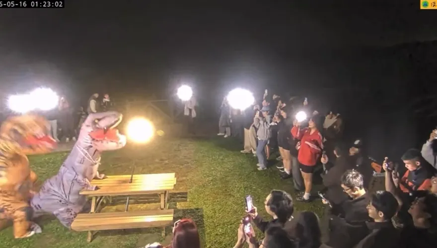 拯救國旅？百人夜衝看「恐龍」模仿擎天崗情侶