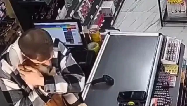 影/土耳其貓咪每天找救命恩人抱抱　暖心畫面網融化