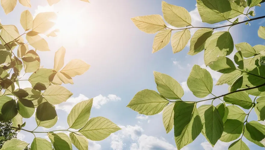 高溫橙色燈號！北市府急發警示　6個行政區都要注意