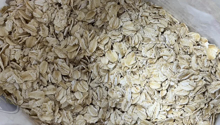 燕麥奶喝多恐讓血糖飆！醫推「鋼切燕麥」才是護心首選