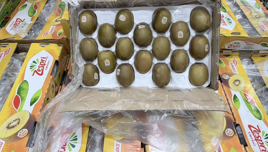 好市多推盛夏好康　買Zespri陽光金圓頭奇異果送精美購物袋