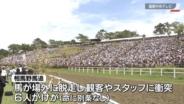 日本福島縣傳統祭典傳意外！馬匹暴衝撞人群釀6傷