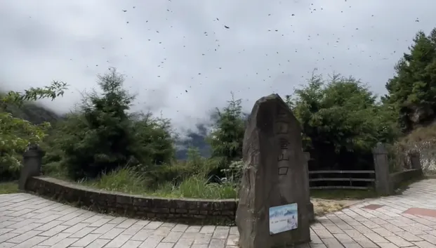 警放水讓豪車闖玉山登山口？雪羊揭2點不合理：基層警恐成替死鬼