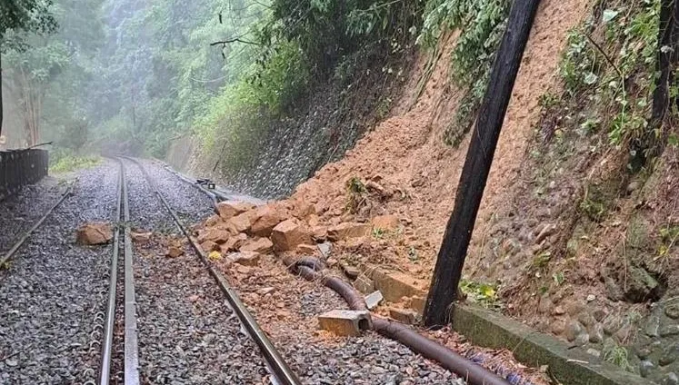 樹倒阻鐵路！集集線「濁水＝集集」一度中斷　台鐵：已恢復行車