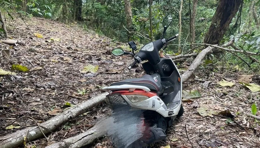 六龜驚見斷頭女屍遭野獸啃食　身分疑失蹤近月台南女