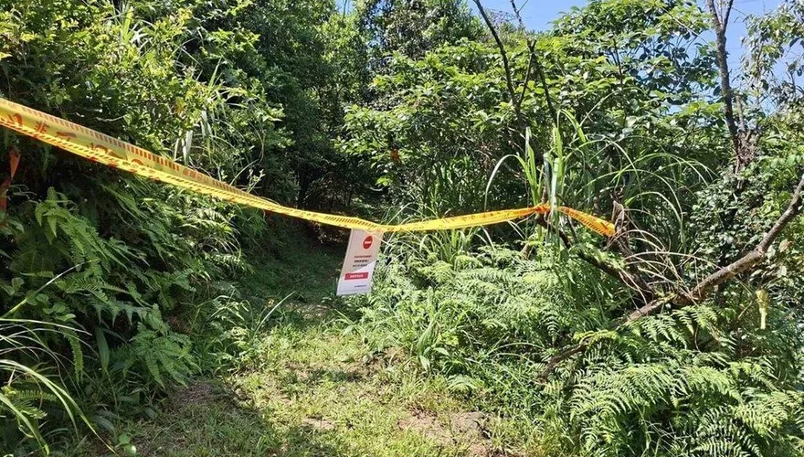 虎頭蜂頻傳螫人！瑞芳搜尋蜂巢　暫封閉三貂嶺等3步道