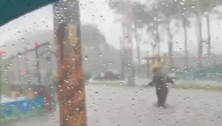 影/豪雨狂炸！內湖馬路淹水變「黃河」　整排機車全泡水