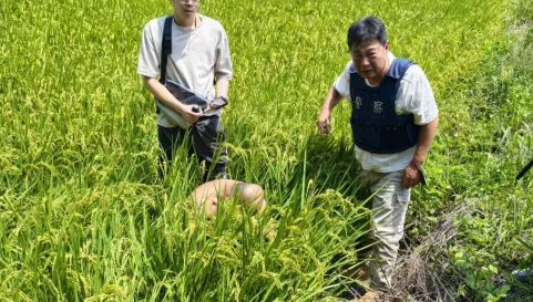 拒捕撞傷2員警！台中毒犯遭查出「另涉槍枝案」 收押