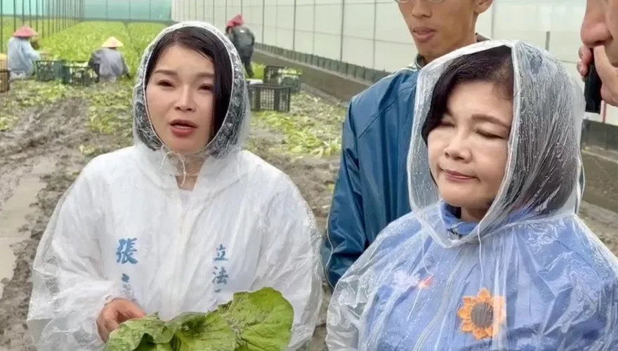 暴雨重創雲林！葉菜類災情慘重　張嘉郡：爭取天然災害補助