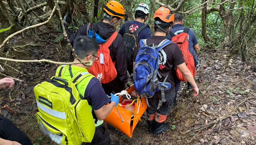 新北貢寮山區「蜂群攻擊30多人」！4人緊急送醫