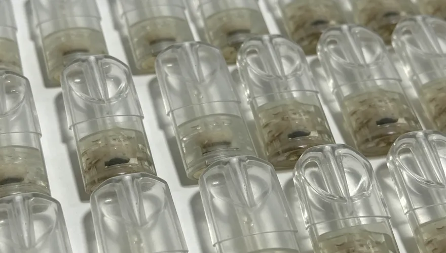 夏天戒菸正當時！醫警告「喪屍煙彈」藥物添加恐危命