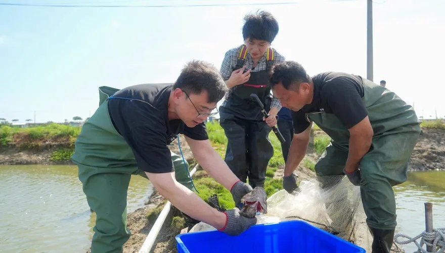 石斑魚產地搞錯地名？！主持人還原：賴瑞隆發言遭剪接誤解