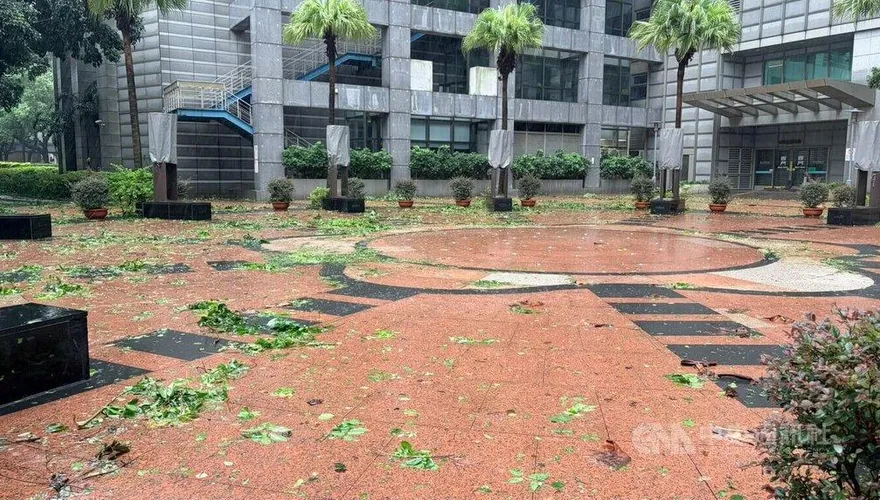 颱風巴威災後復原　雙北市垃圾車12日加班收運