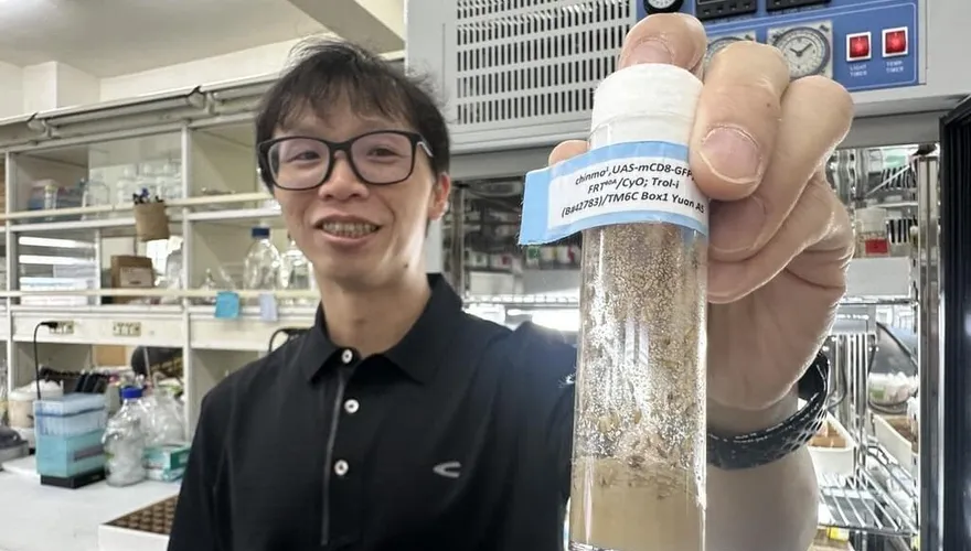 果蠅實驗發現　精子幹細胞環境老化影響下一代