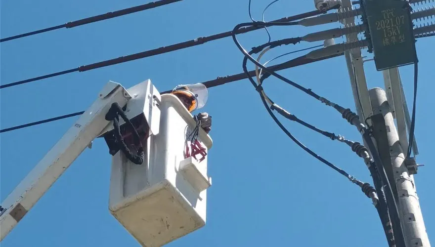 彰化伸港清晨無預警停電　台電：松鼠誤觸高壓設備