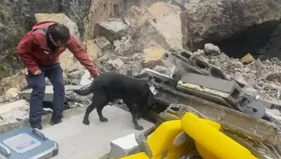 搜救犬找到了！重慶山崩現場發現生命跡象　正研究移除巨石