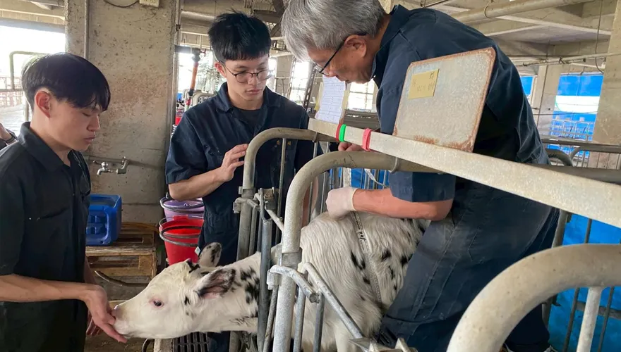 台大、生合生技研發乳牛益生菌　獲2025國家新創獎