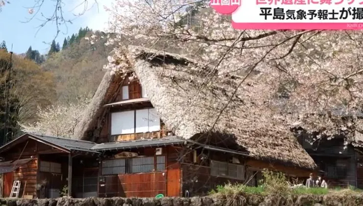 世界遺產驚傳火警！日富山縣合掌村「鹽硝館」起火　茅草頂慘燒毀