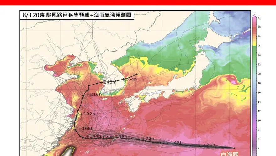 白海豚恐「大角度北轉」　專家預測：風浪將大於降雨