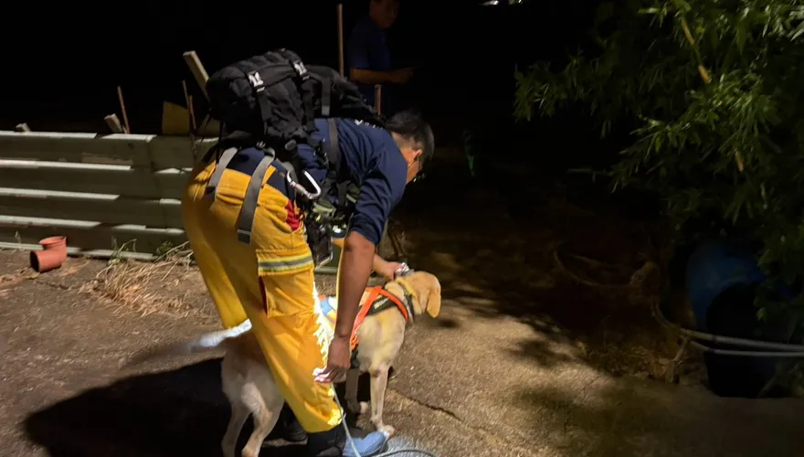 搜救犬April精準搜尋！桃園消防隊2小時內成功尋獲失聯民眾