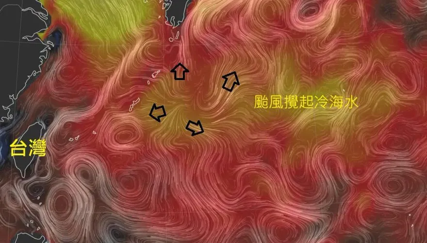 黑潮蓄勢待發！白海豚吸飽熱能恐硬化　鄭明典揭恐怖訊號