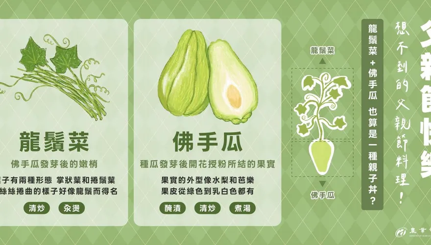 龍鬚菜、佛手瓜是同種植物？農業部揭密「親子關係」
