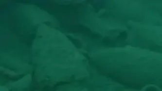 義大利漁民潛水大發現！西西里島海底竟藏2100年前沉船