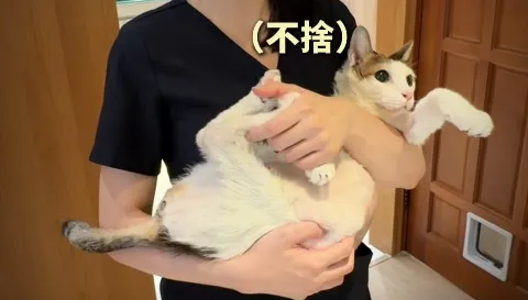 張元瀚猝逝！3個月後愛貓也走了　妻淚：牠的難過不比人少