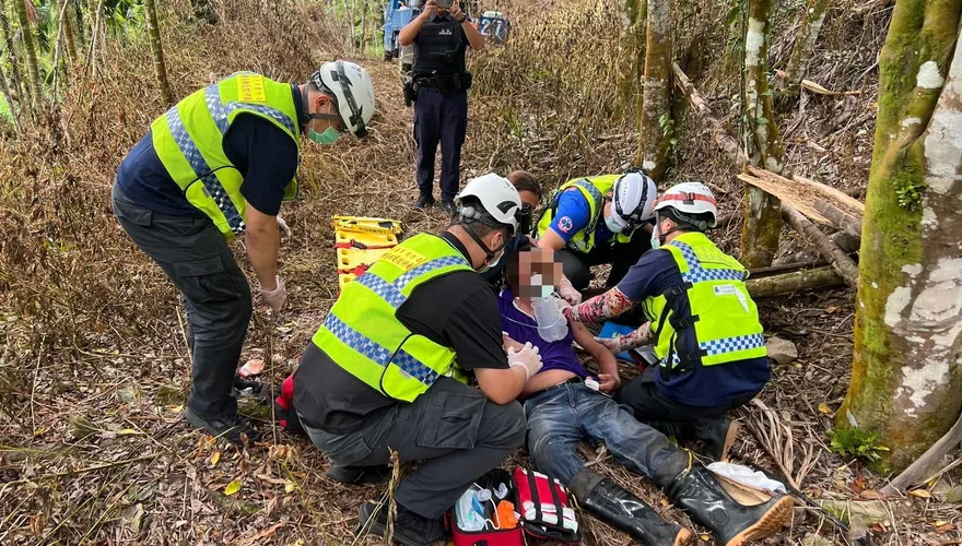 恐怖！上山務農遭虎頭蜂螫昏　花蓮消防6人火速救援