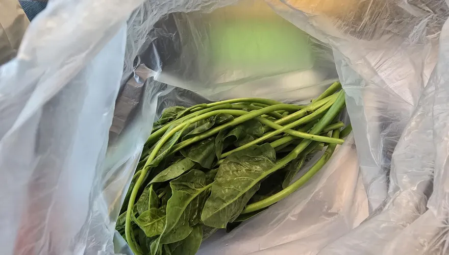 北市抽驗蔬果15件農藥超標！寒舍艾美、兄弟飯店上榜