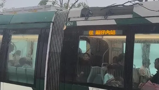 南部淹水警戒「高雄輕軌出事」！載客列車遭斷樹砸中
