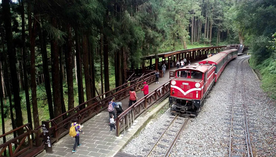 豪雨炸南台灣！阿里山林鐵24日全線停駛　旅客退票方式曝