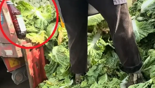 韓國泡菜恐藏甲醛？　食藥署：查無輸台紀錄