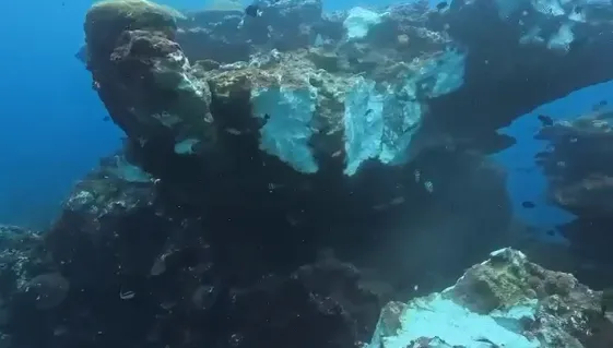 影/綠島5.8強震「黑毛礁」震斷一半！潛水教練直呼心疼