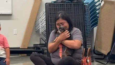 失蹤12年奇蹟再會！吉娃娃靠晶片找到主人　飼主感動淚崩