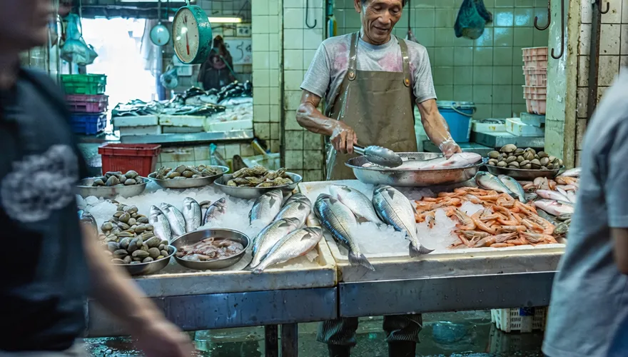 魚類蛋白質排行榜出爐！鮪魚奪冠　專家教避毒吃法