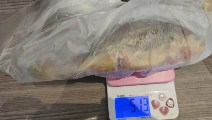 北市抽驗水產品！金泰海膽鎘超標　都一處黃魚驗出禁藥